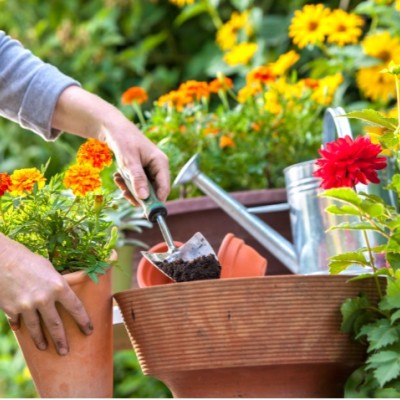 12 tips for a more sustainable garden